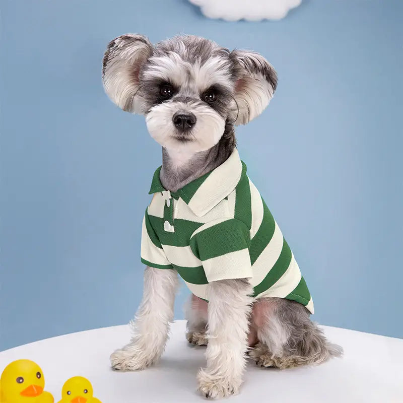 Summer Stripe Two-Legged Dog Tee Shirt