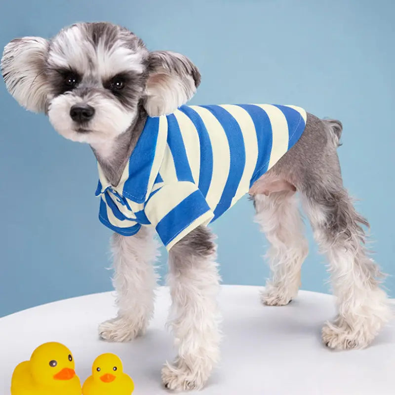 Summer Stripe Two-Legged Dog Tee Shirt