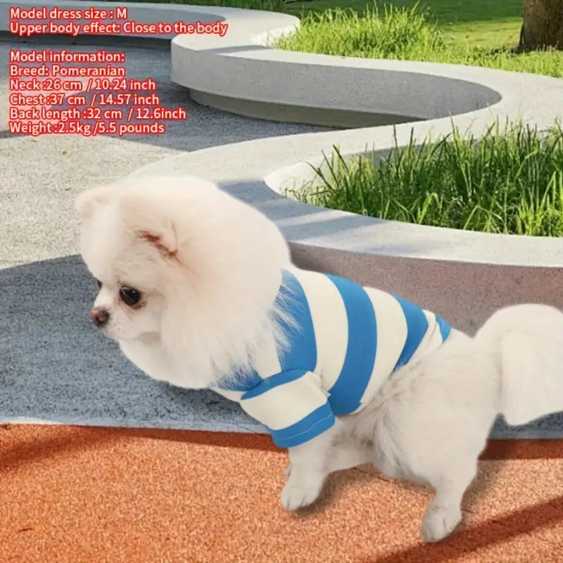 Summer Stripe Two-Legged Dog Tee Shirt