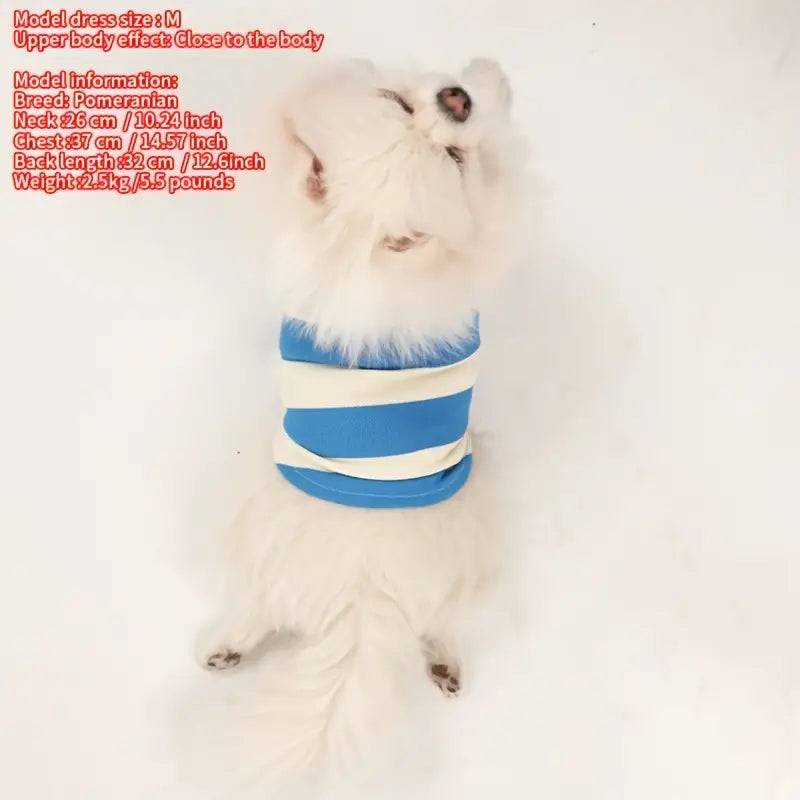 Summer Stripe Two-Legged Dog Tee Shirt