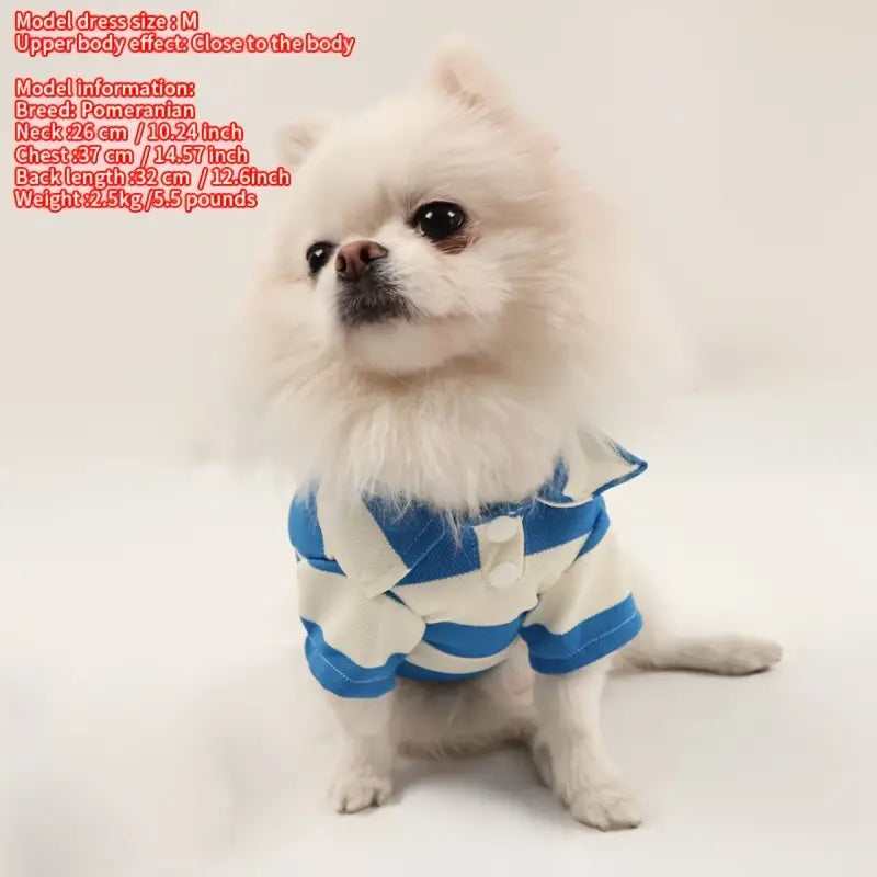 Summer Stripe Two-Legged Dog Tee Shirt