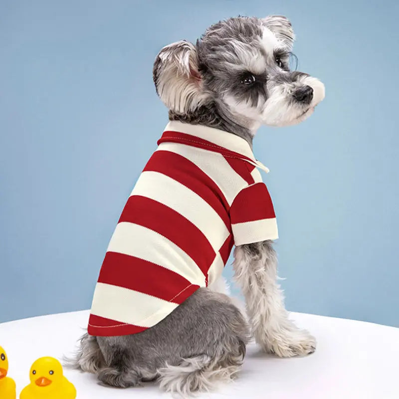Summer Stripe Two-Legged Dog Tee Shirt