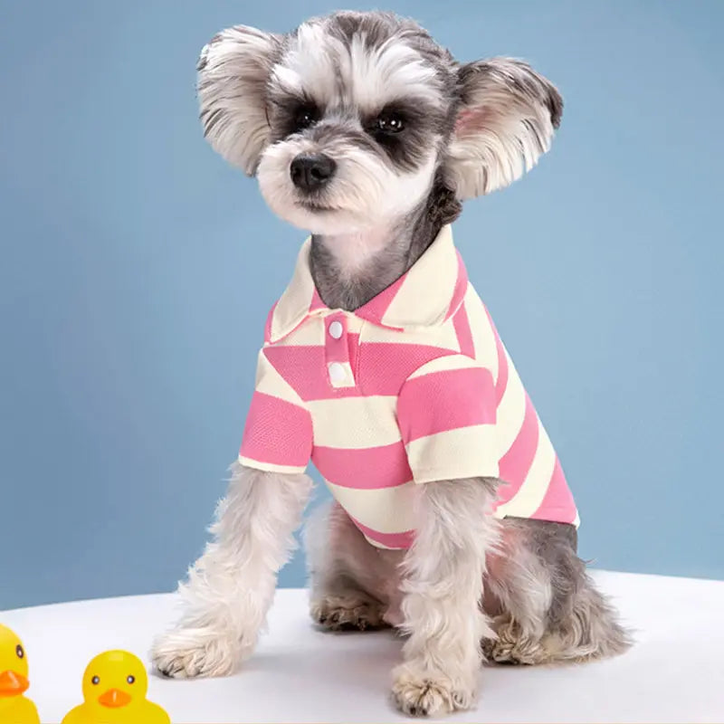 Summer Stripe Two-Legged Dog Tee Shirt