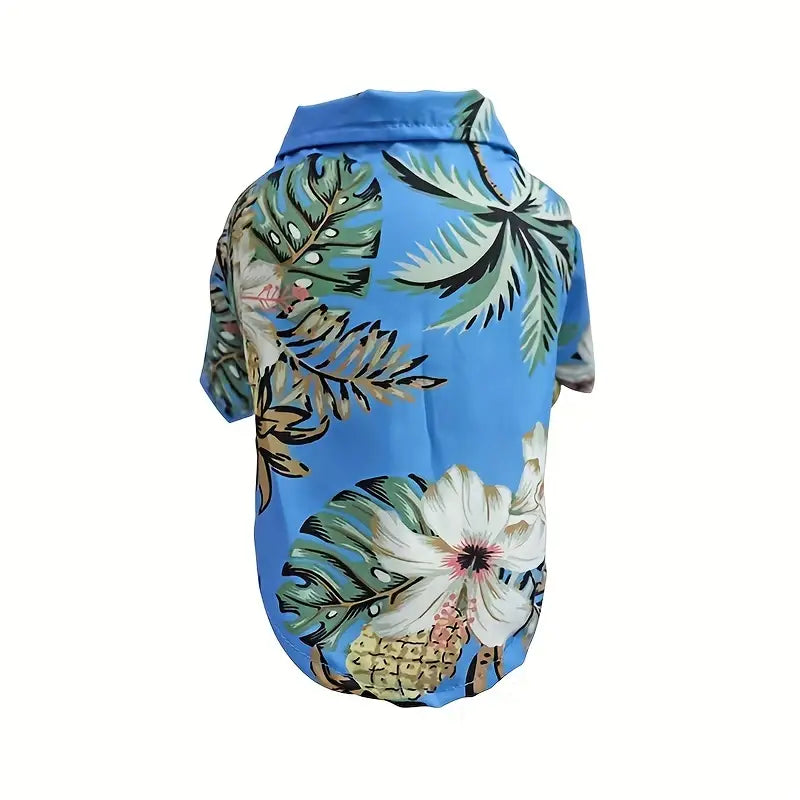 Cool Summer Outfit