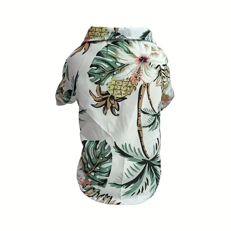 Cool Summer Outfit