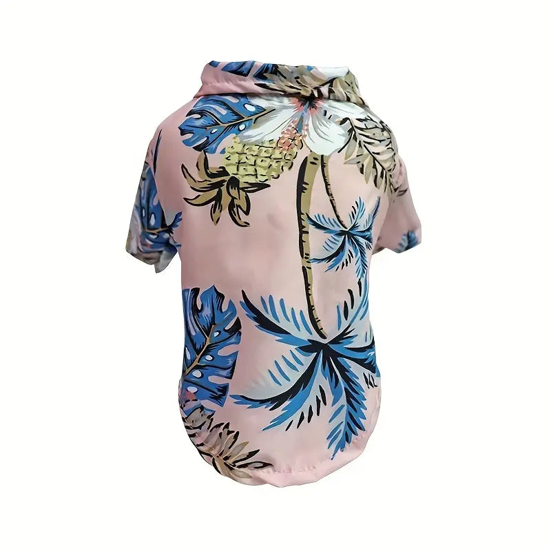 Cool Summer Outfit