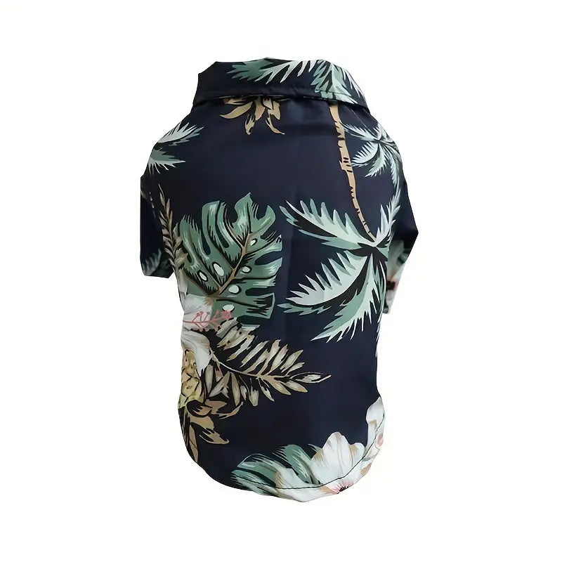 Cool Summer Outfit