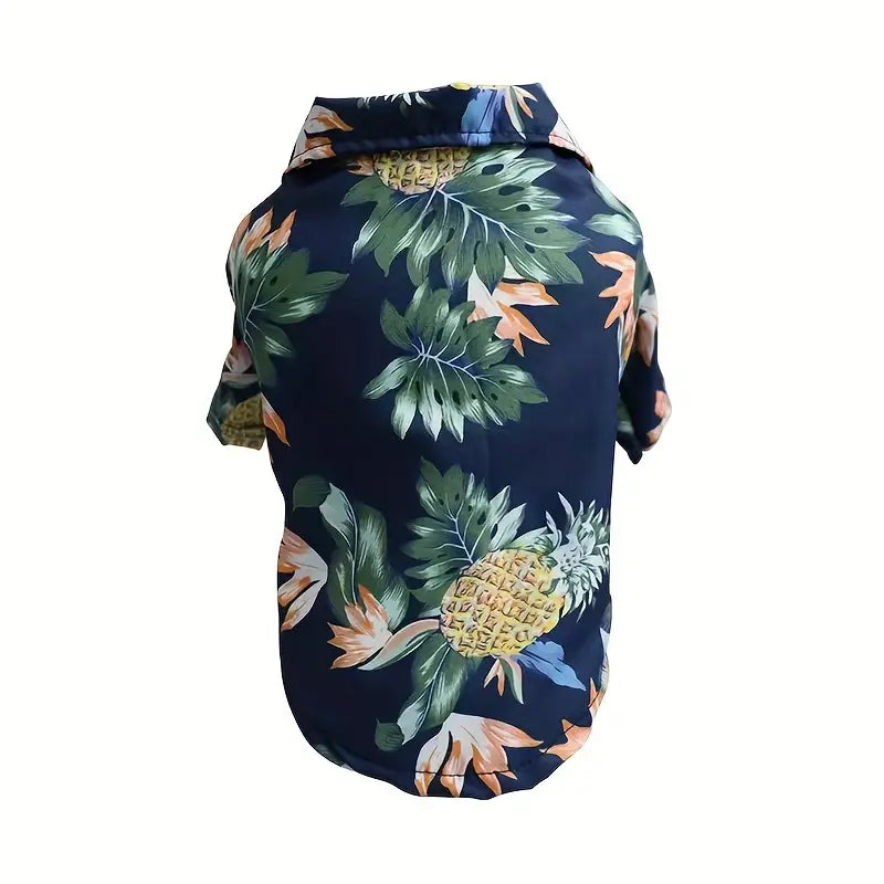 Cool Summer Outfit