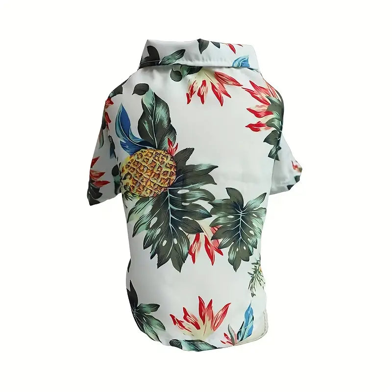 Cool Summer Outfit
