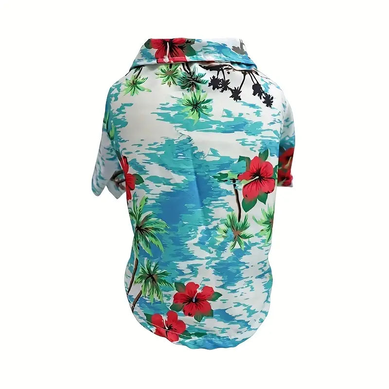 Cool Summer Outfit