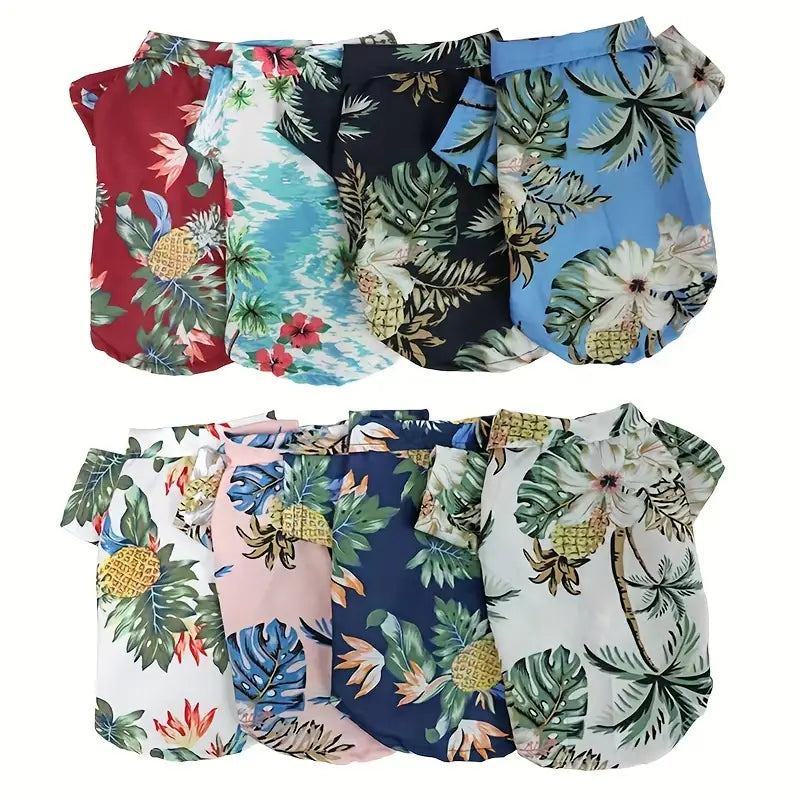 Cool Summer Outfit