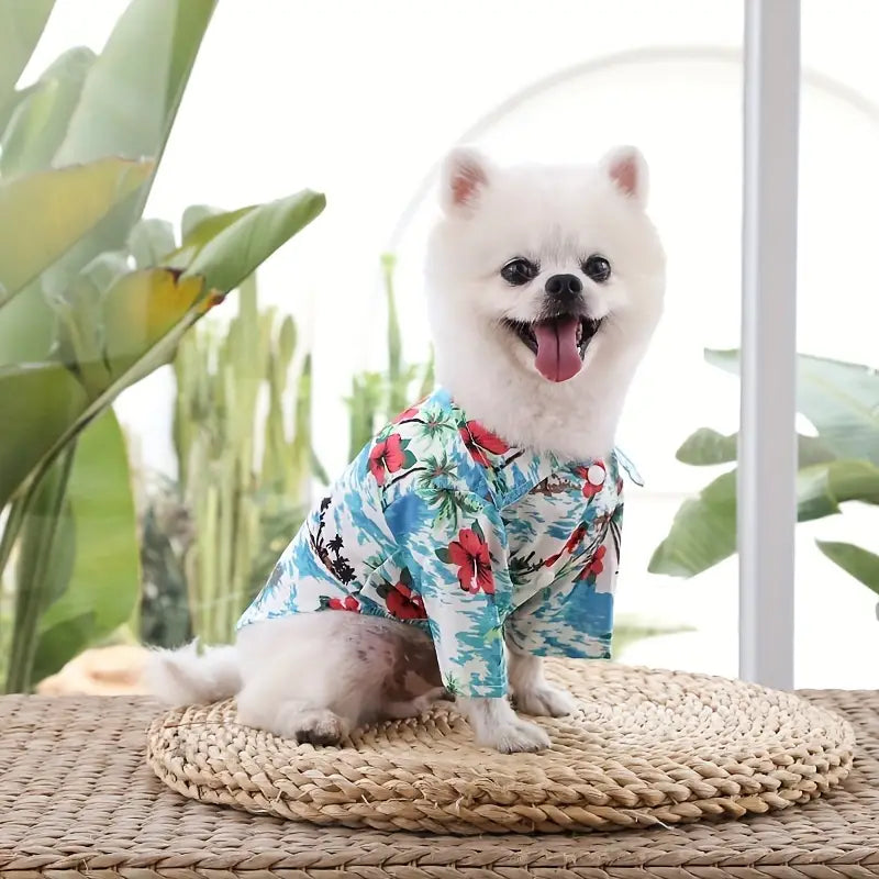Cool Summer Outfit