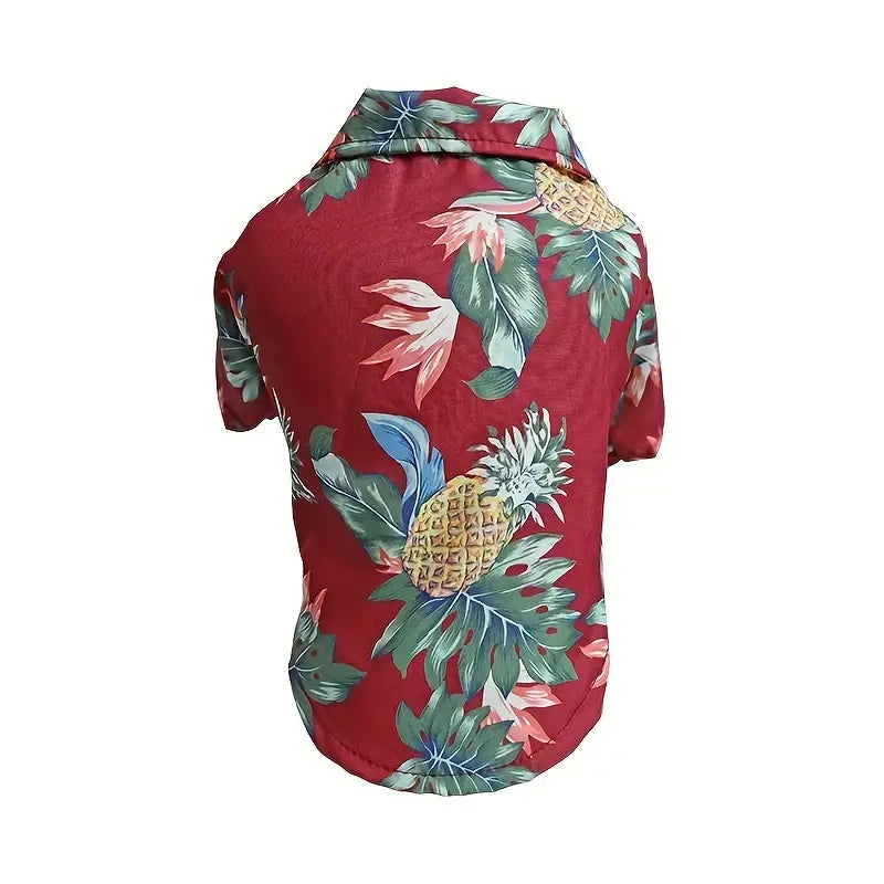 Cool Summer Outfit