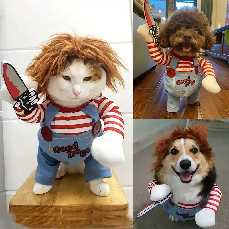 Halloween Costume