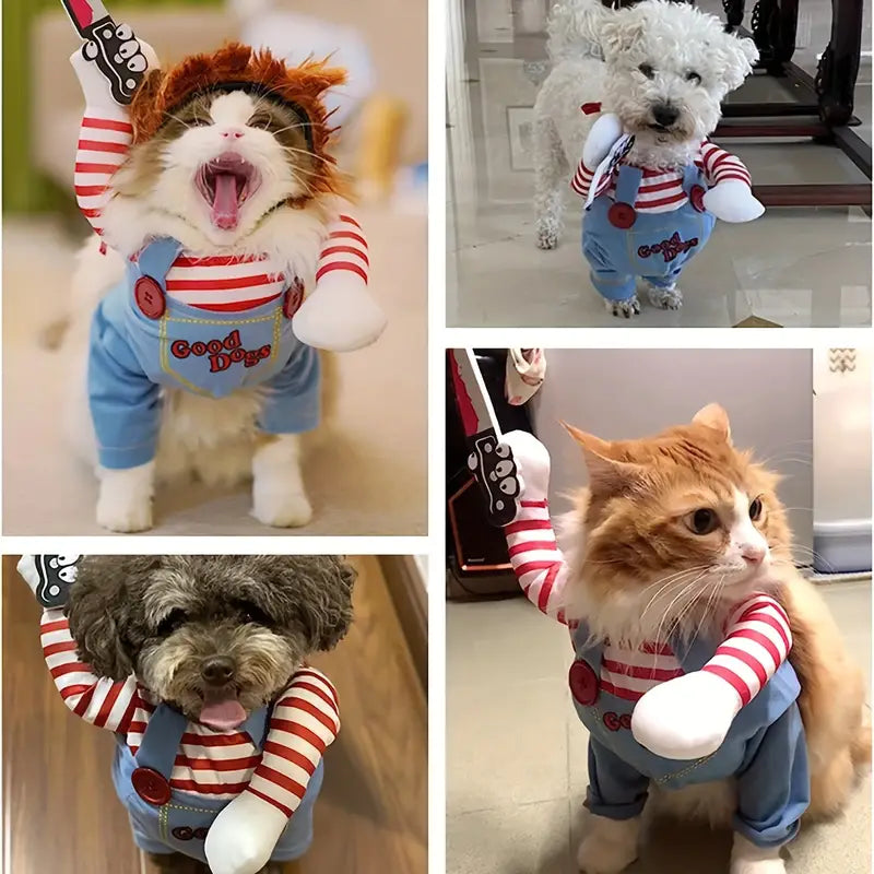 Halloween Costume