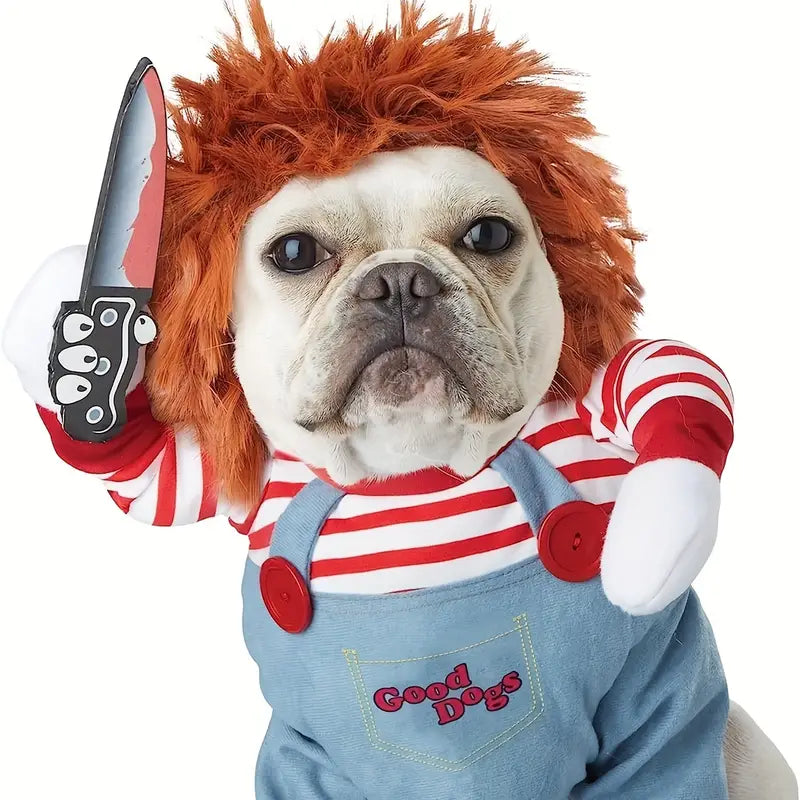 Halloween Costume