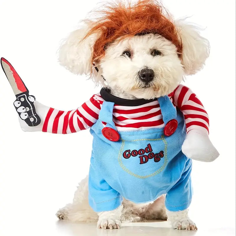 Halloween Costume