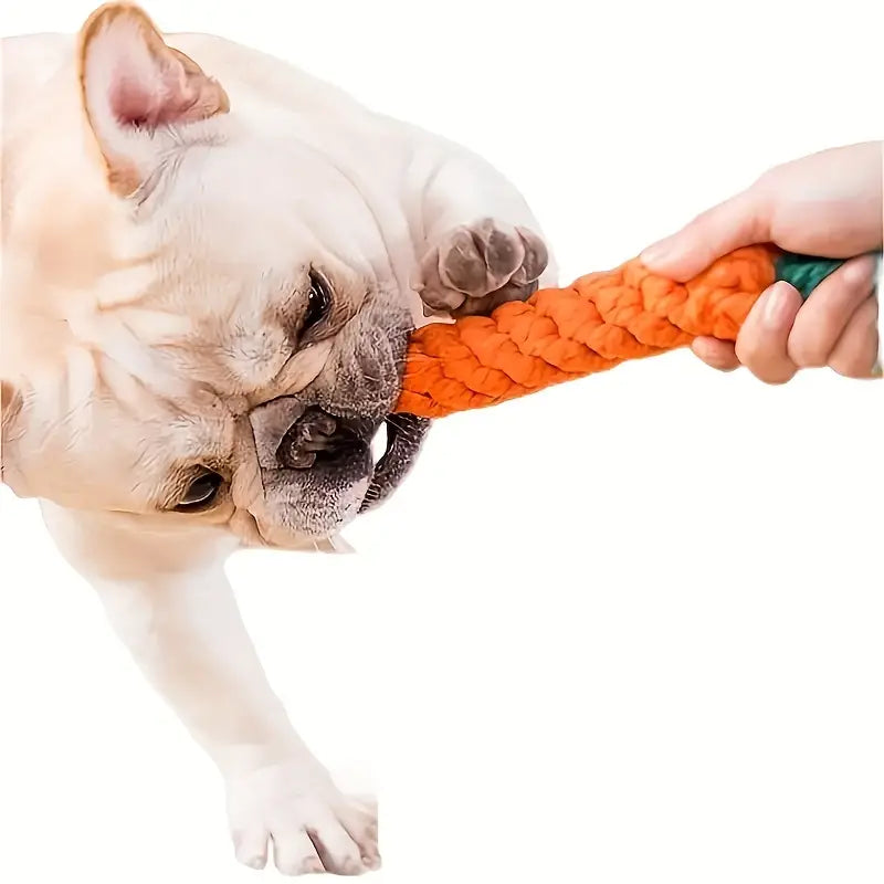 5pcs Random Color Dog Chew Toys