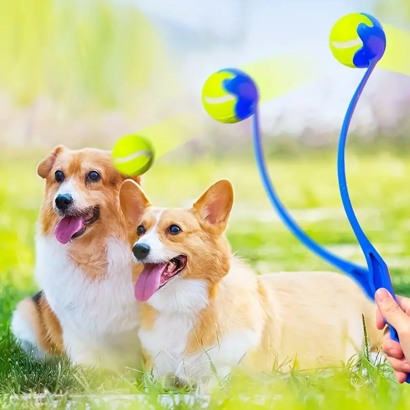 Ball Thrower