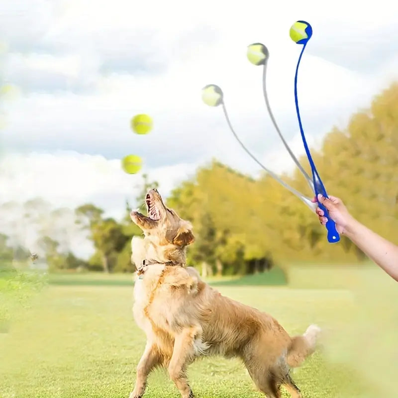 Ball Thrower