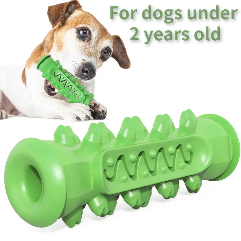 Toothbrush Toy for Dogs