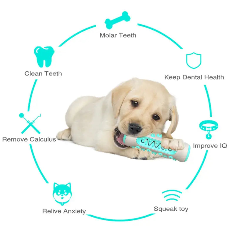 Toothbrush Toy for Dogs