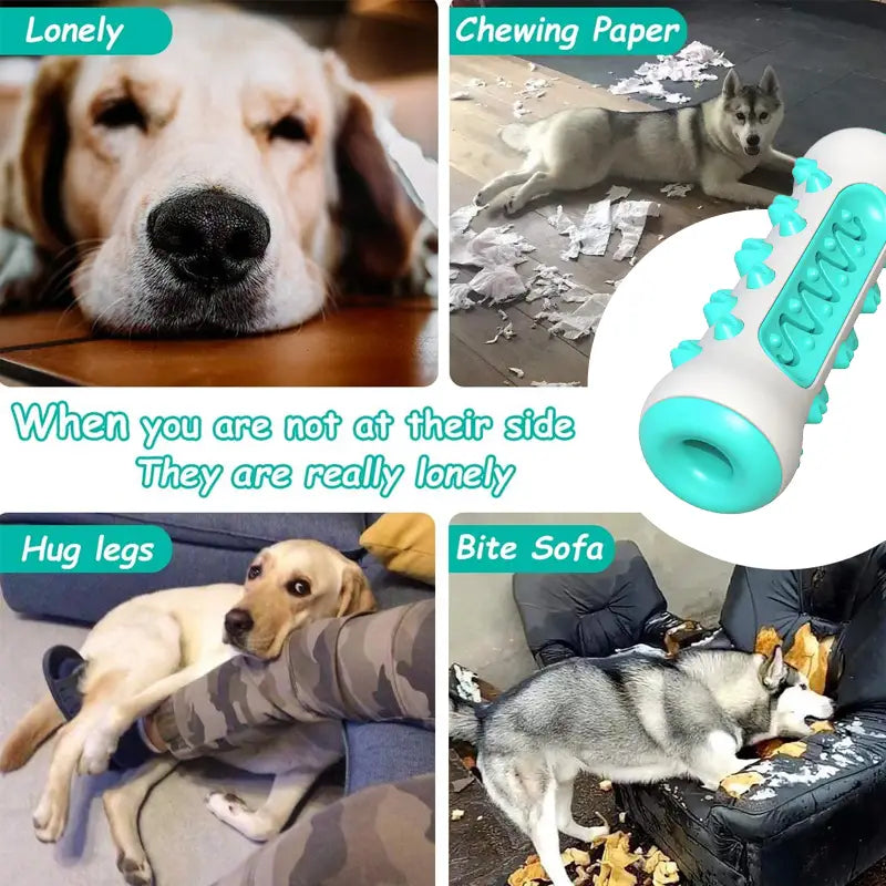 Toothbrush Toy for Dogs
