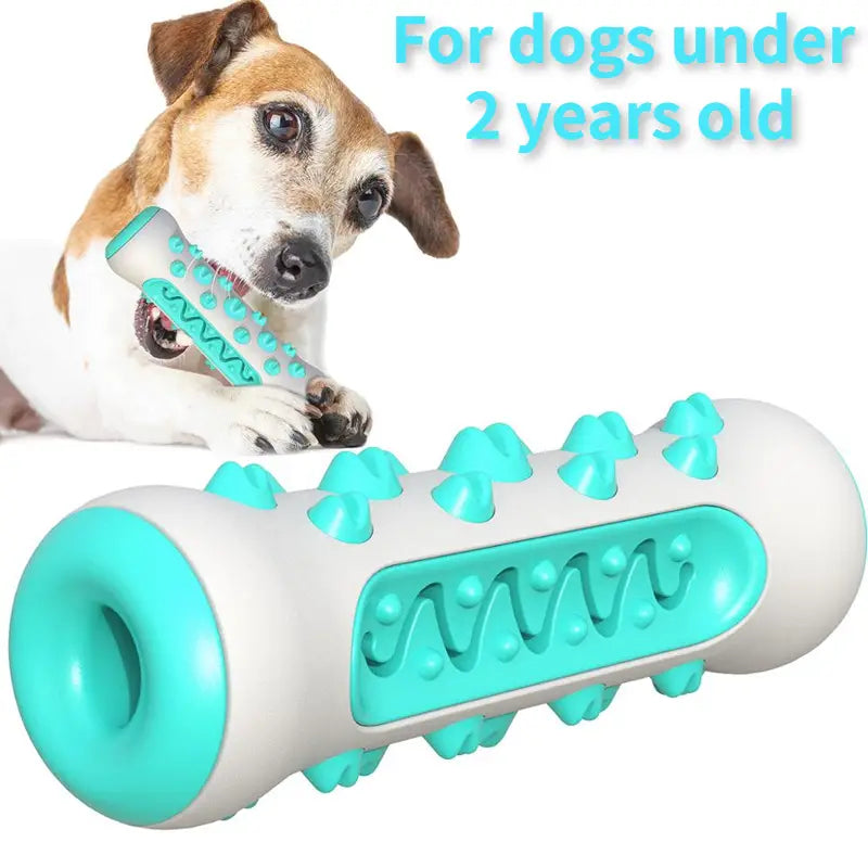 Toothbrush Toy for Dogs
