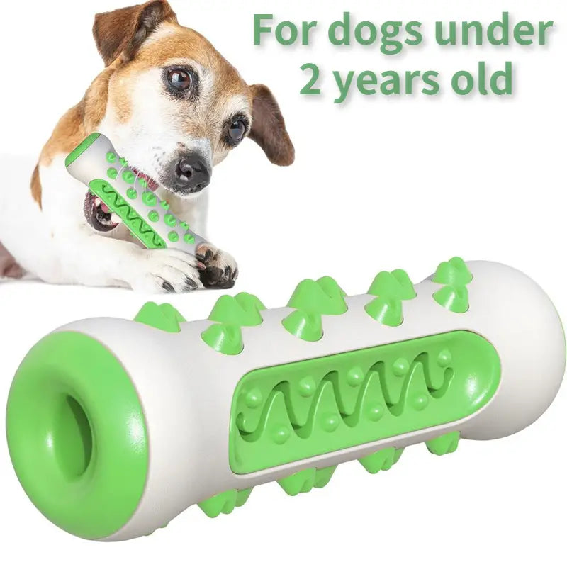 Toothbrush Toy for Dogs