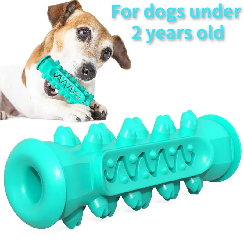Toothbrush Toy for Dogs