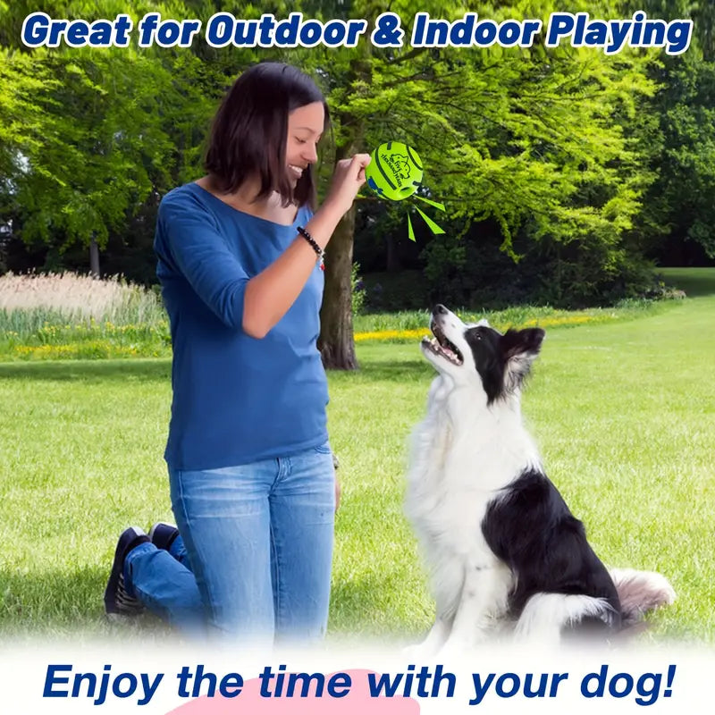 Squeaky Interactive Giggle Ball