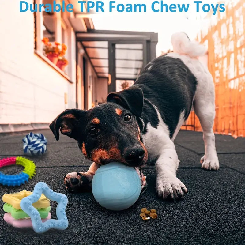 20 Pack Puppy Chew Toys Bundle