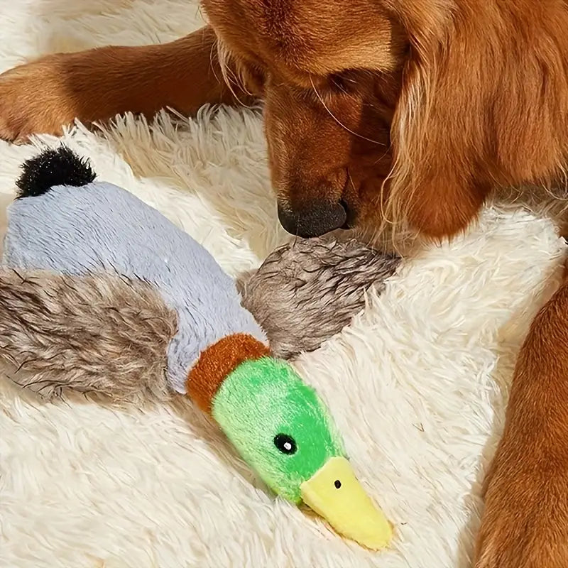 Squeaky Duck Plush Toy