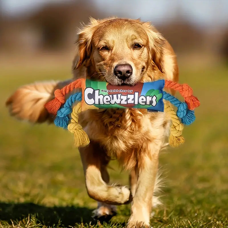 Candy Design Squeaky Dog Chew Toy