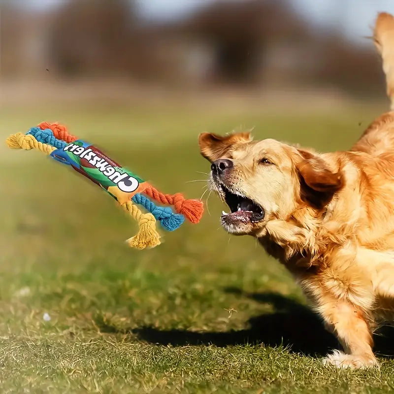 Candy Design Squeaky Dog Chew Toy