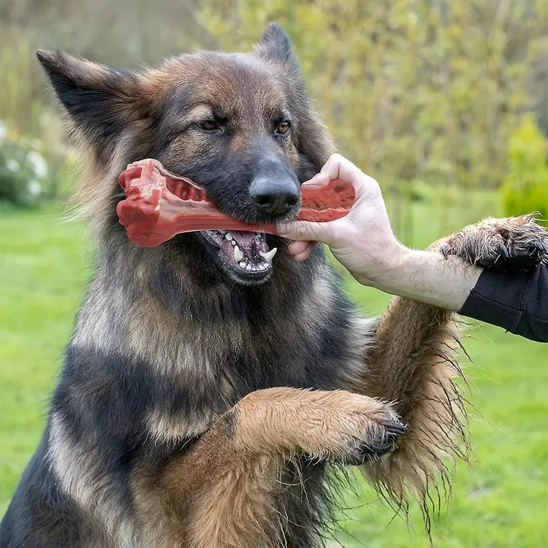 Ultra-Durable Dog Chew Bone