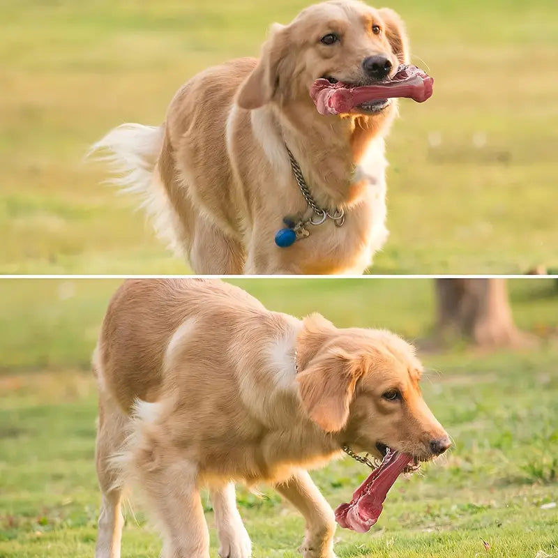 Ultra-Durable Dog Chew Bone