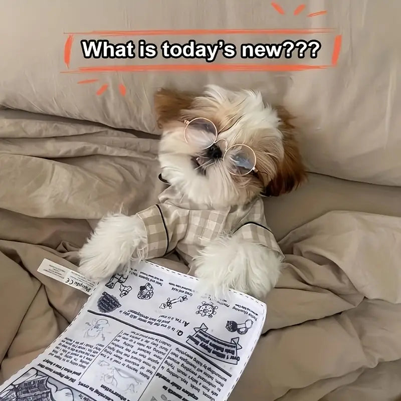 Newspaper Toy