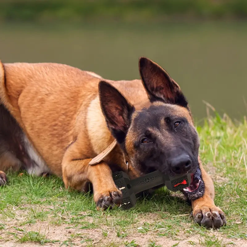 Dumbbell Chew Toy