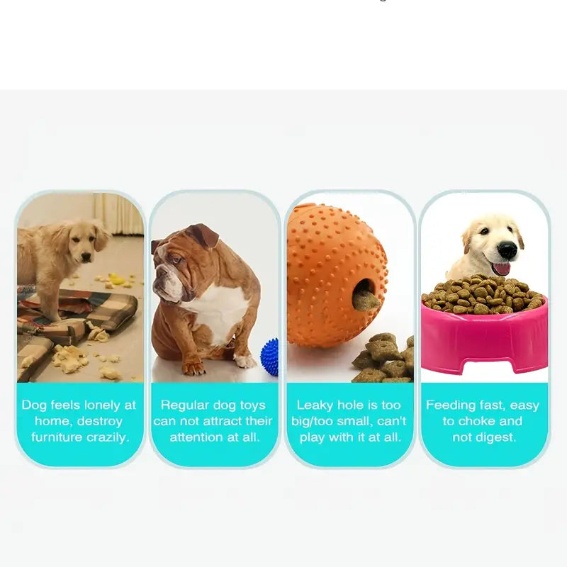 IQ Treat Ball Puzzle Toy