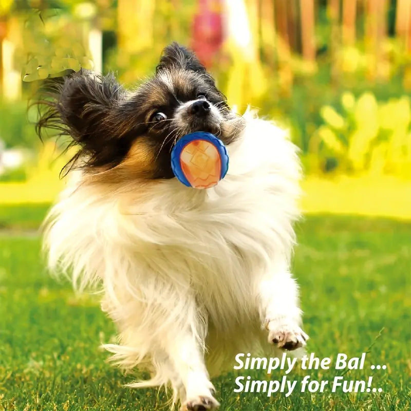 Unbreakable Rubber Dog Ball