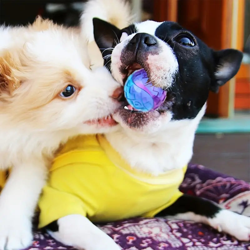 Unbreakable Rubber Dog Ball