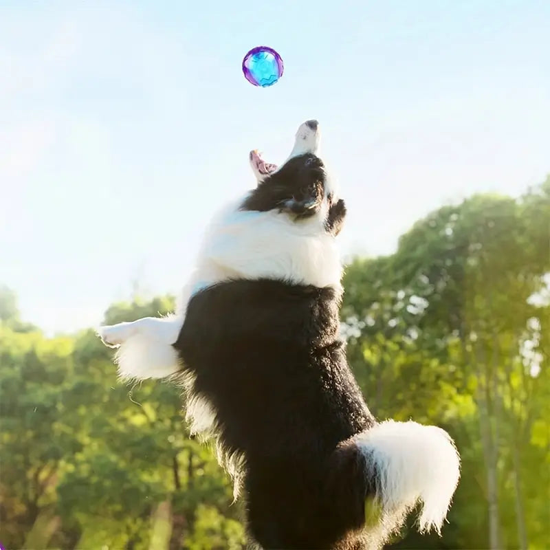 Unbreakable Rubber Dog Ball