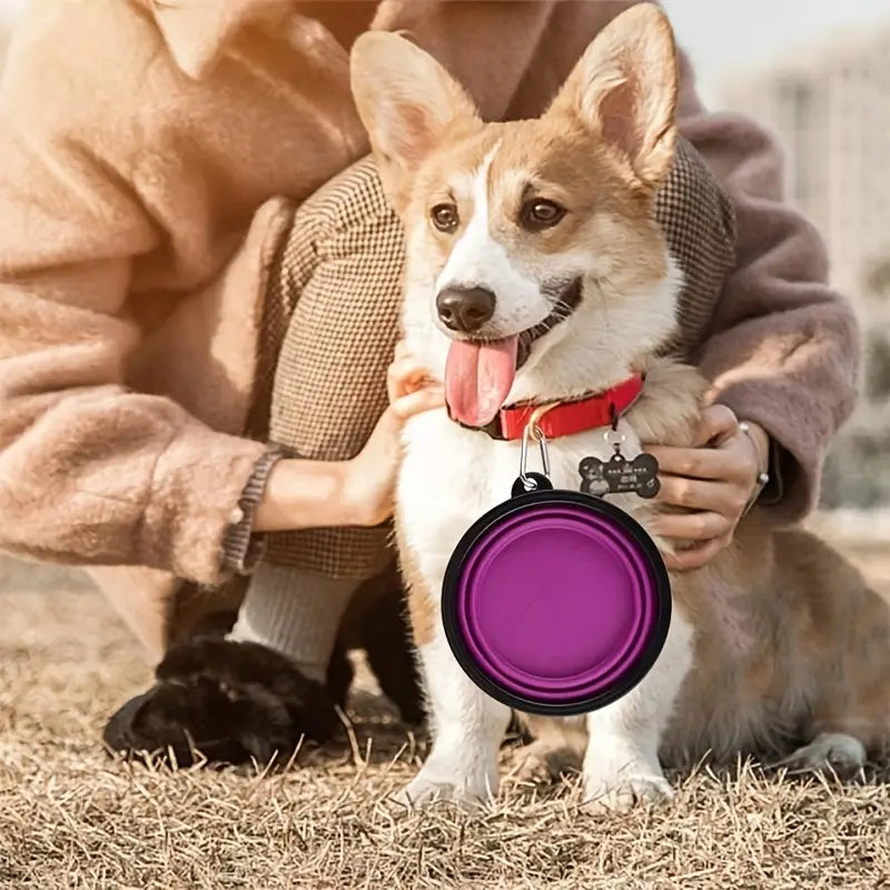 Portable Pet Food Bowl: Foldable & Durable
