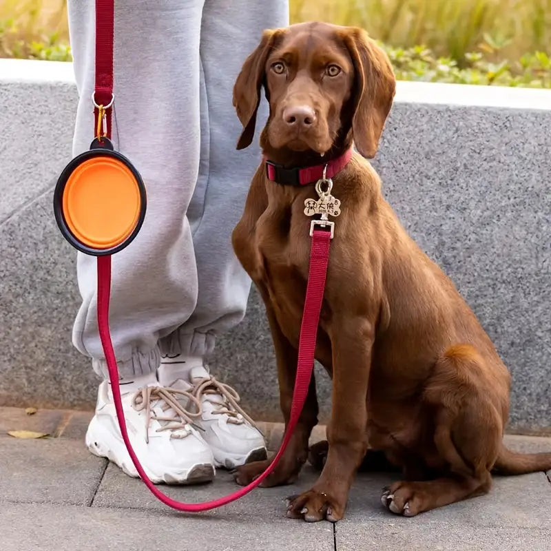Portable Pet Food Bowl: Foldable & Durable