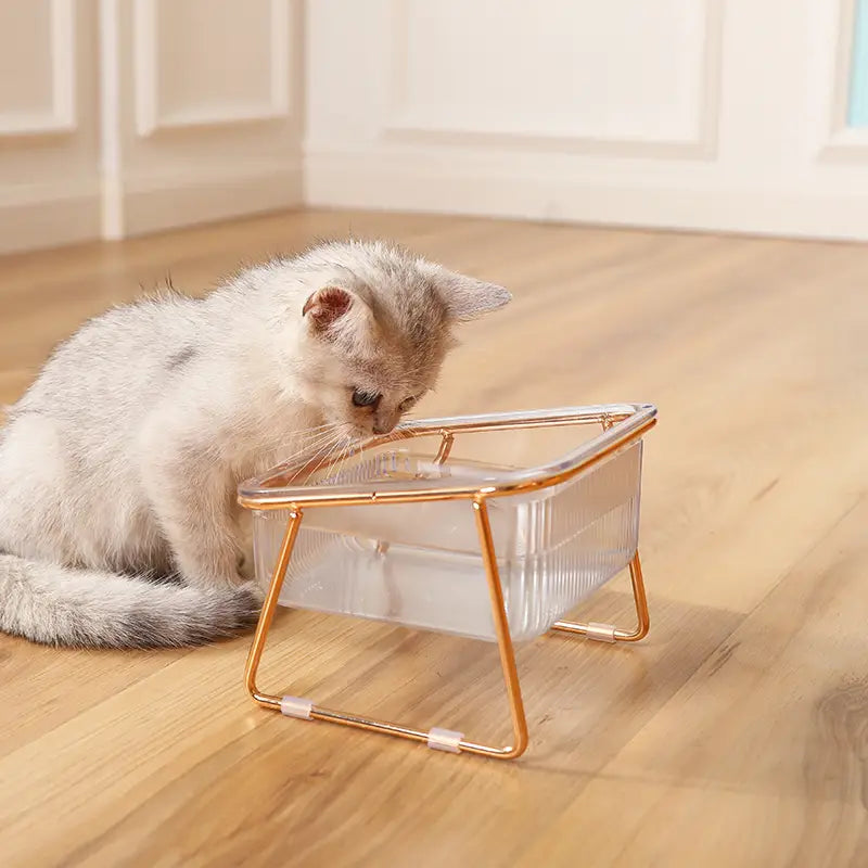 Transparent Double Cat Bowl with Vertical Design