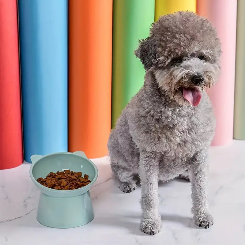 Elevated Feeding Bowl
