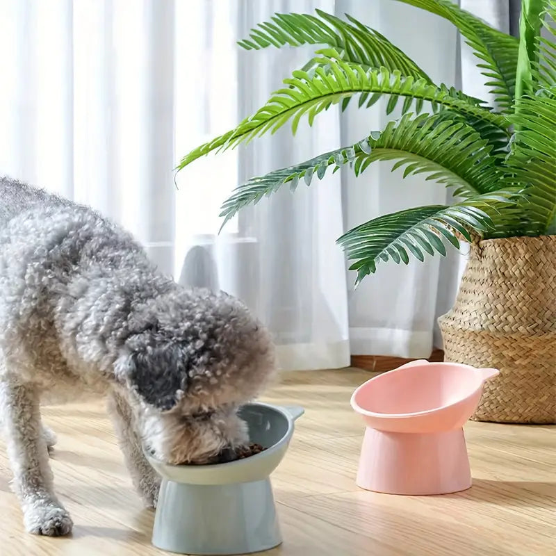Elevated Feeding Bowl