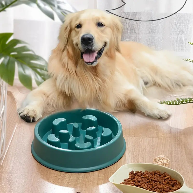 Anti-Choking Slow Feeder