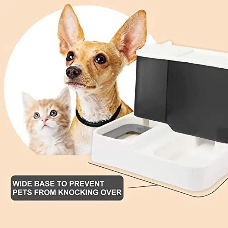 2-in-1 Automatic Pet Feeder